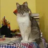 Отзыв от Василиса Грибова